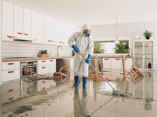 biltmore phoenix water damage restoration